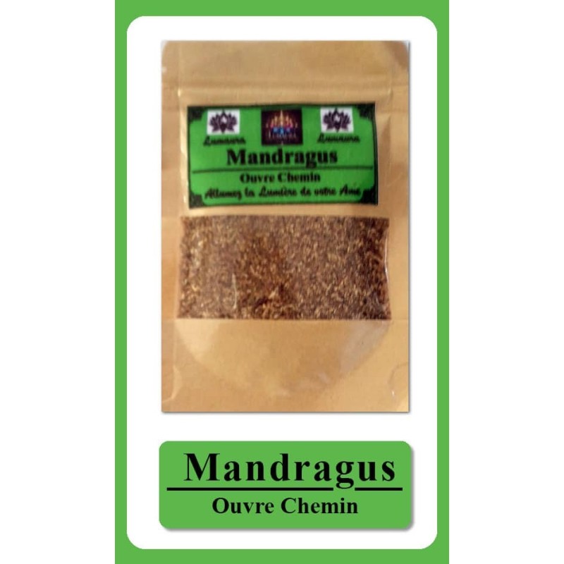 Encens MANDRAGUS